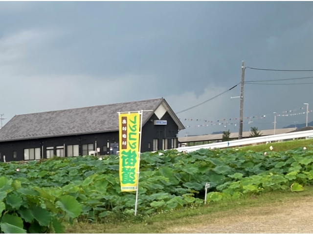 黒い雲接近中