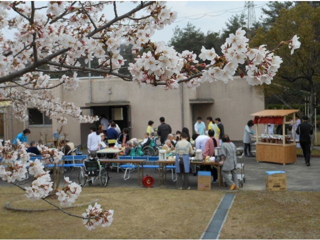 観桜会