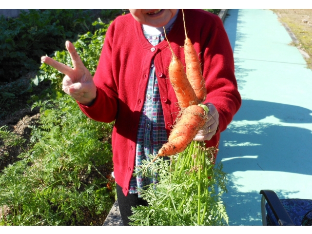 収穫記念に１枚