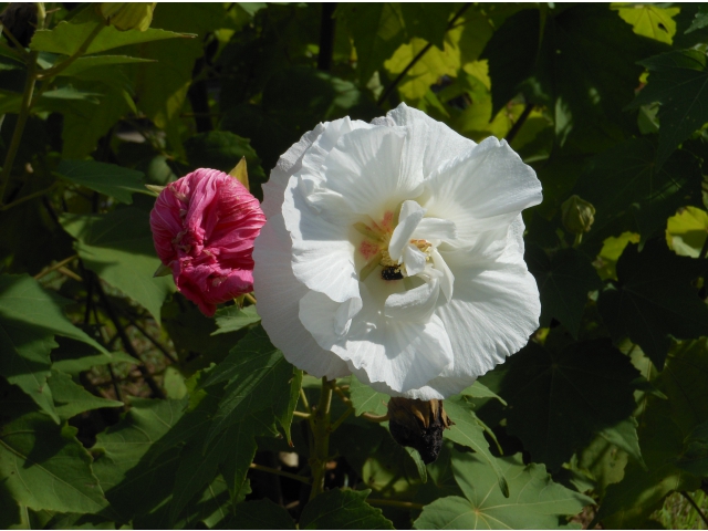 AM9:00 まだシラフです