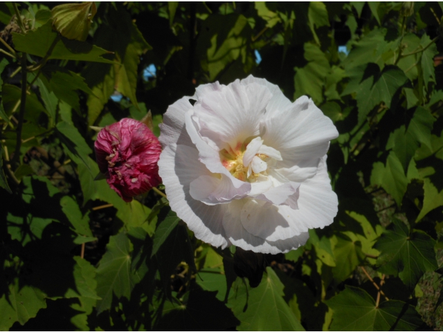 12:00　少し酔ってきました