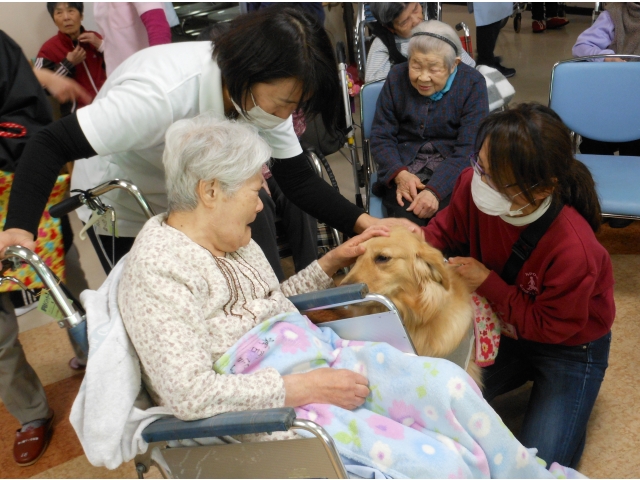 家に持って帰りたいくらいかわいいです