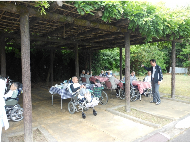 どんな料理が出てきますでしょうか？