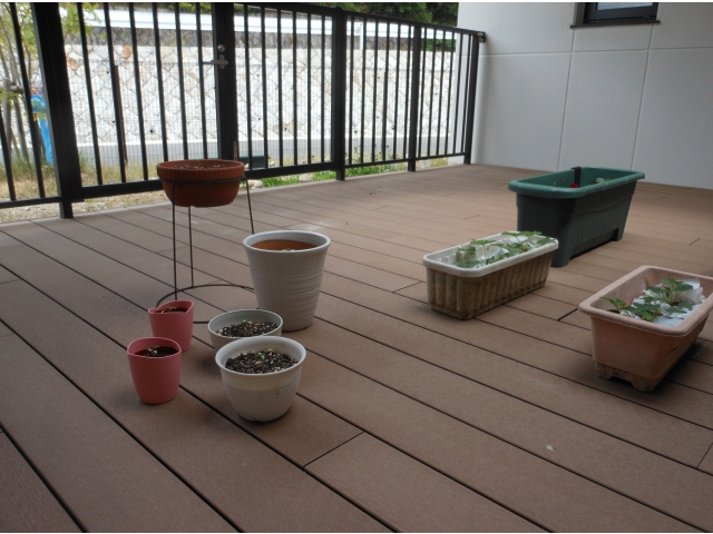 鉢植えの数が増えています。