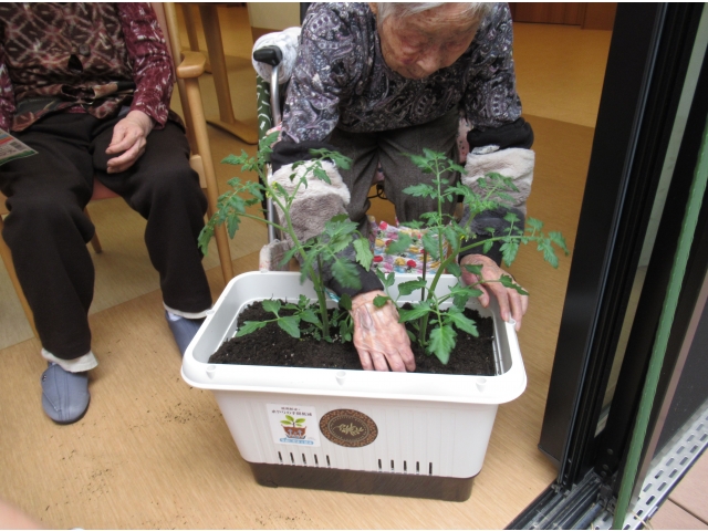 手つきが慣れています