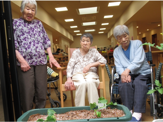 5.　成長が楽しみです。