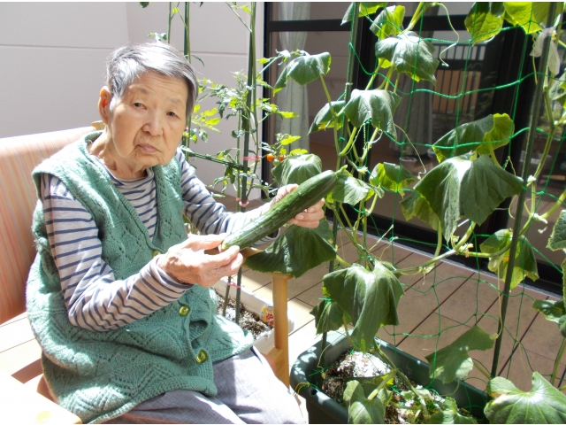 どうやって食べようか？