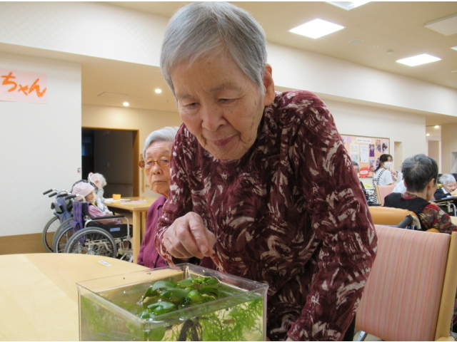 どこに居るかな～