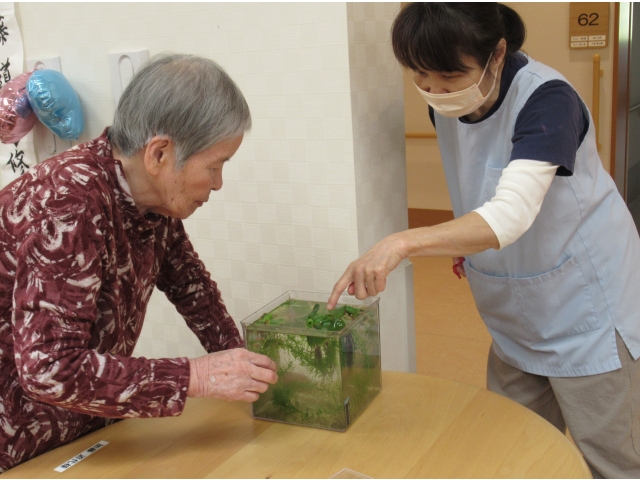 ここにいますよ～