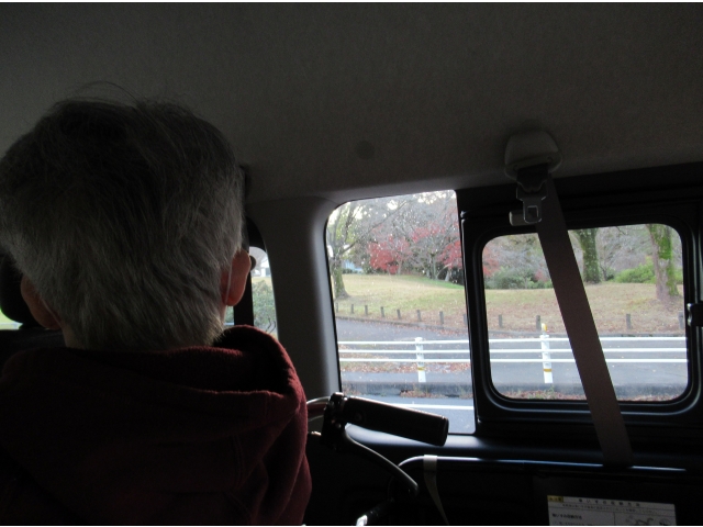 森林公園の大道平池の帰り路
