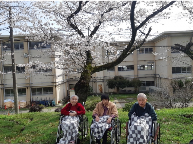 桜をバックに記念撮影。