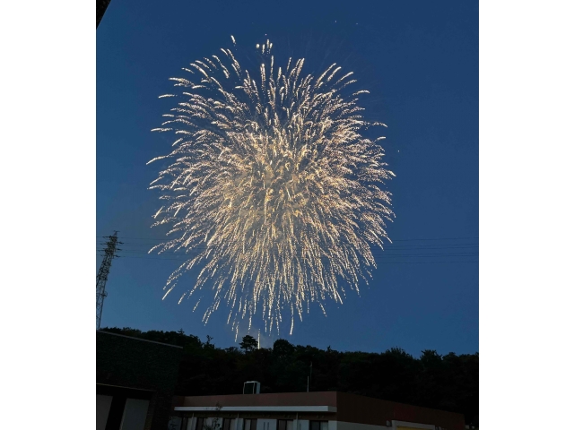 大迫力の花火です