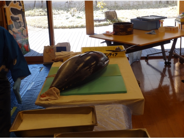 本マグロ39kg