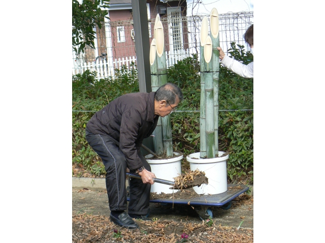 土を入れて