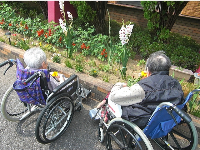 きれいな花だねぇ。