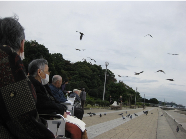 トンビをみながら…