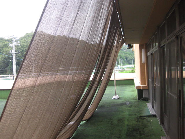 日陰が嬉しいね