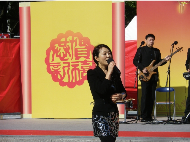 程琳（ポピュラー音楽のスター）