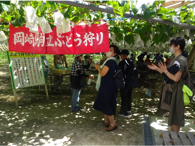 地域探索学習会（ぶどう狩り）