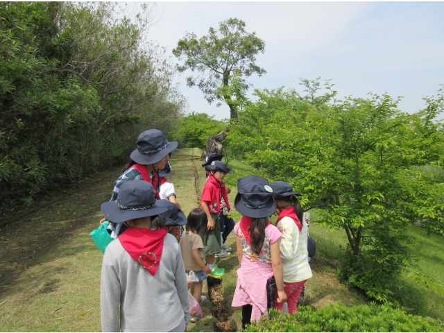 ブラウニー大曽公園散策