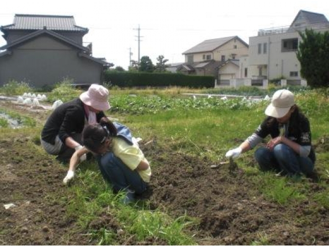 まずは草取りから…