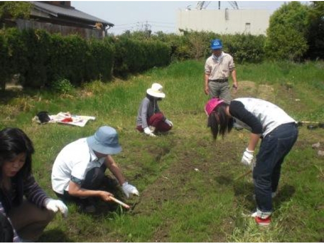 あっという間に草が伸びていました。