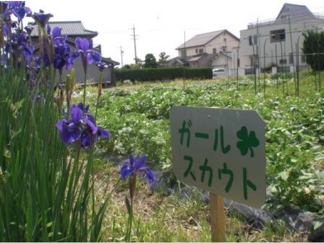 すくすく元気に育っています。