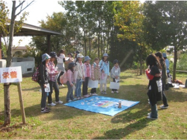 必要な栄養のカードはどれかな？