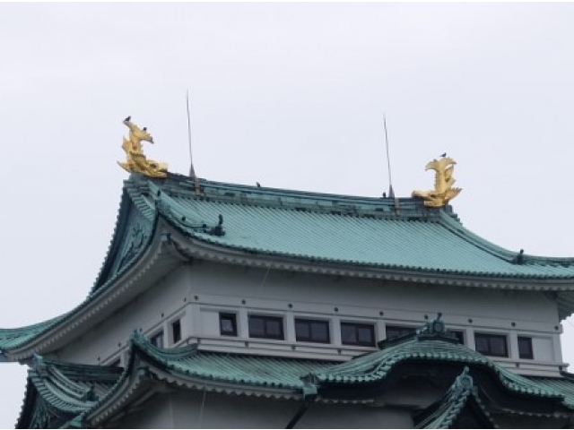 曇り空でもピカピカ