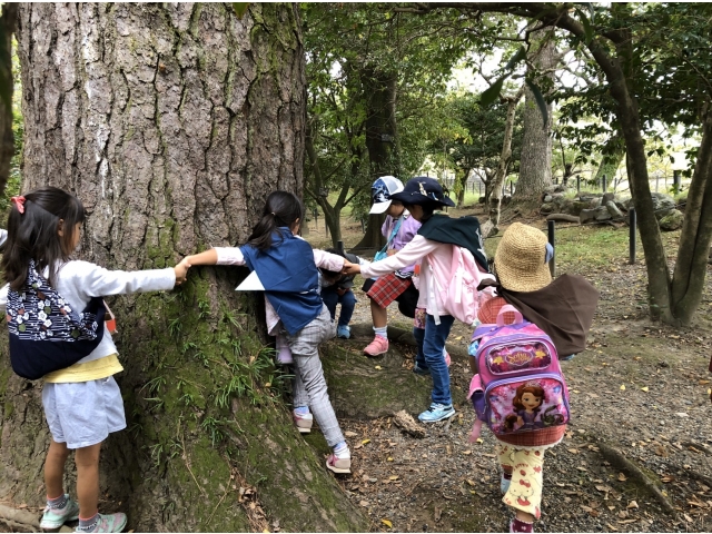 テンダーフット部門おやこで集会に参加