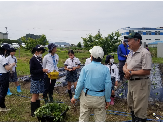 植え方の説明を聞きました。